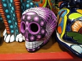 Kids_SanAntonio_8-2017 (6)